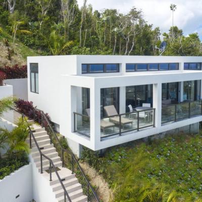 Calichi at picture point the Bougainvillea