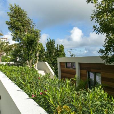 Calichi at Picture Point- The Royal Palm Villa Bordeaux Mtn, Coral Bay Villa