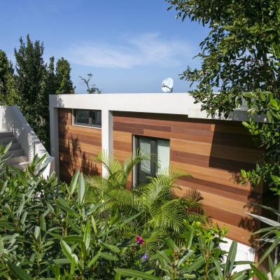 Calichi at Picture Point- The Royal Palm Villa Bordeaux Mtn, Coral Bay Villa