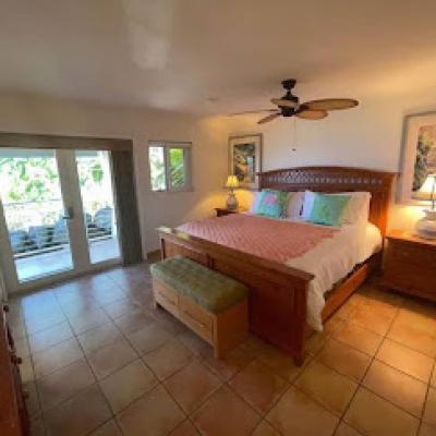 Pet Friendly Ginger Thomas Villa in Cruz Bay