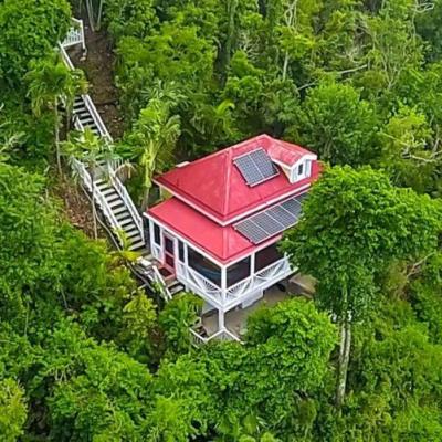 TROPICAL TREE HOUSE