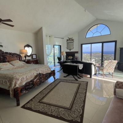 WHITE SEAGULL SUITE-6