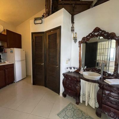 WHITE SEAGULL SUITE-7